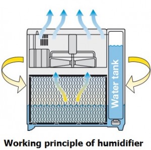 verdamping-luchtbevochtiger-werk-beginsel